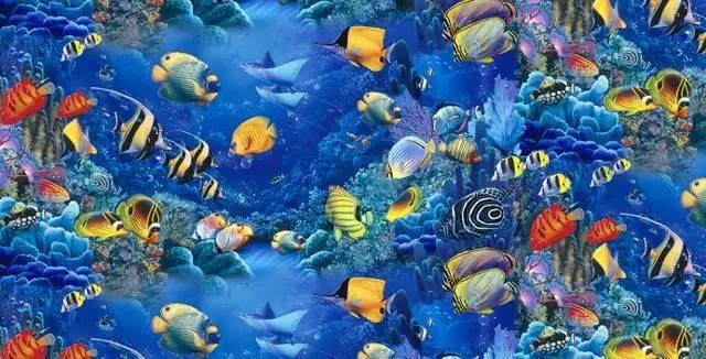 Fish
