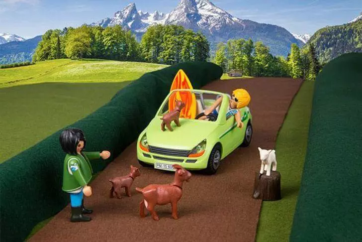 Vehicle damage caused by animals