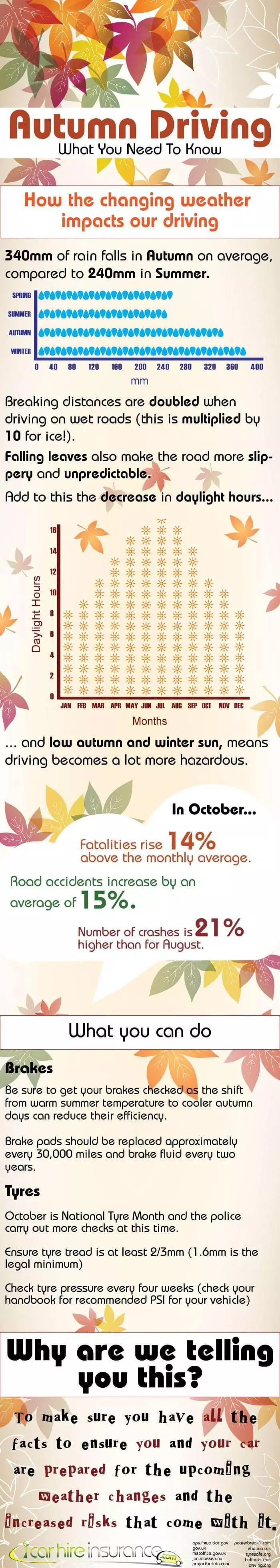 Driving in Autumn